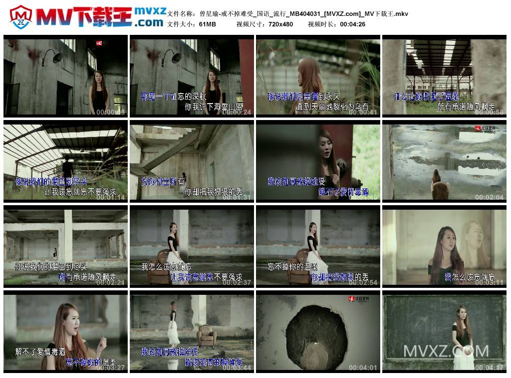 曾星瑜-戒不掉难受_国语_流行_MB404031